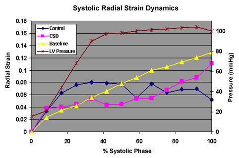 Systolic Radial Strain Dynamics